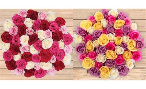 Costco Pre Order 50 Stem Mothers Day Roses Just 3999 Free