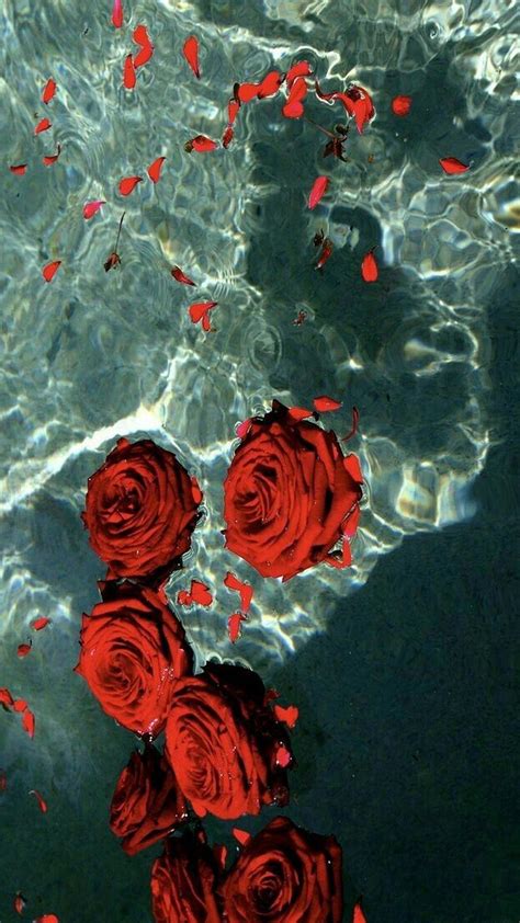 Water Aesthetic Tumblr Rose Wallpapers Top Free Water Aesthetic