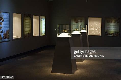 Mapungubwe Collection Photos And Premium High Res Pictures Getty Images