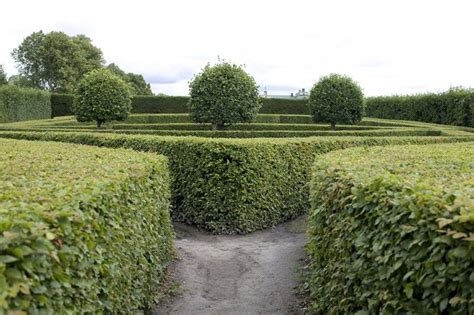 The Opposing Shapes In This Garden Create An Interesting Visual While