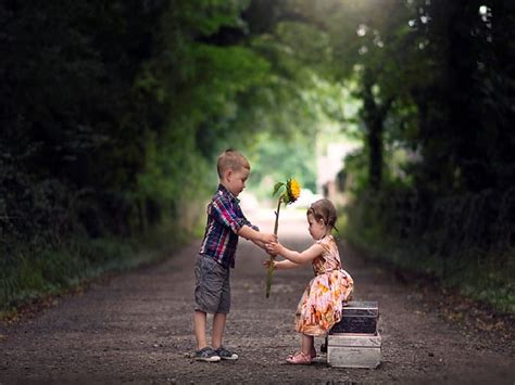 Friendship Boy Girl Love Children Giving Adorable Sunflower