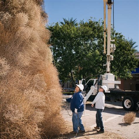 one photographer s mission to capture america s tumbleweed invasion outside online