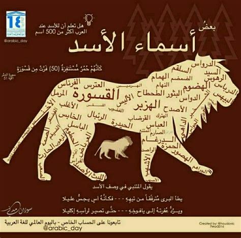 اسماء الاسد حيوان Lion Names In Arabic Ther Is More Than 500 Name