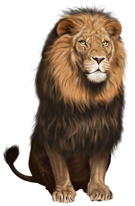 We upload amazing new content everyday! Lion PNG