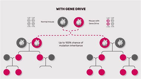 What Is A Gene Drive Youtube