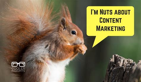 Content Marketing Strategy 7 Nutty Lessons From Squirrels Cooler