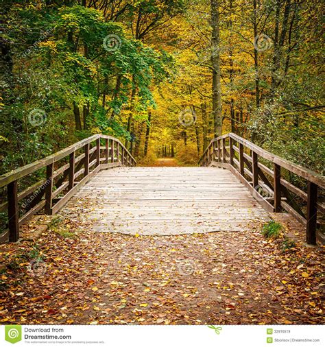 Bridge In Autumn Forest Stock Image Image Of Fresh Alley