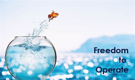 Freedom To Operate When Marketing Or Developing A Product