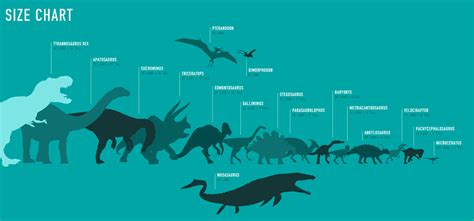 Dinosaur Size Chart