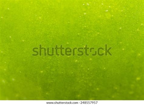 103482 Green Apple Texture Images Stock Photos And Vectors Shutterstock