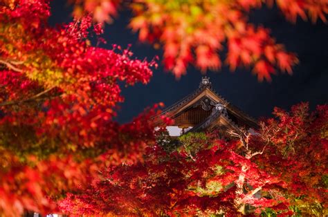 Top 10 Fall Colors Spots In Kyoto Japan Travel Caffeine