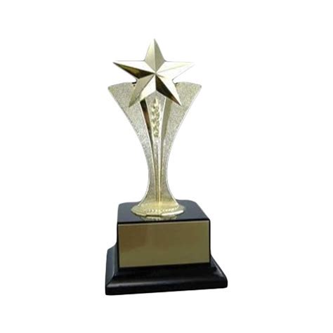 Momento Trophy At Rs 520piece Mementoes In Pune Id 14159668633