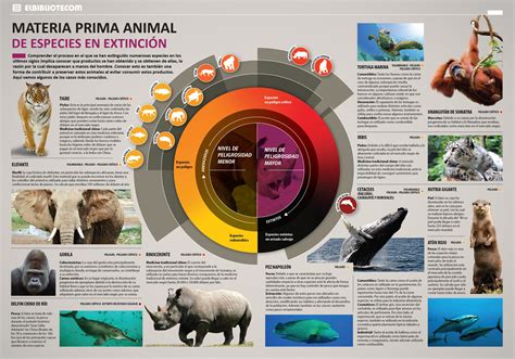 Material Educativo Especie Animal Animal Posters Mammals Wildlife