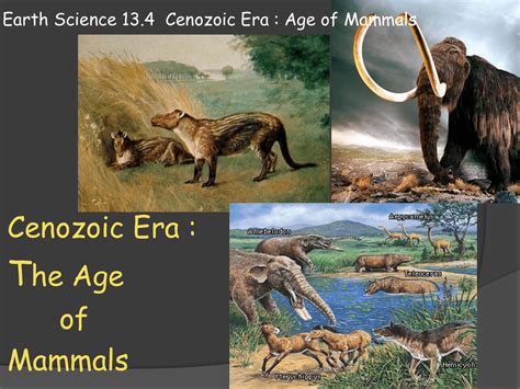 Earth Science 134 Cenozoic Era Age Of Mammals
