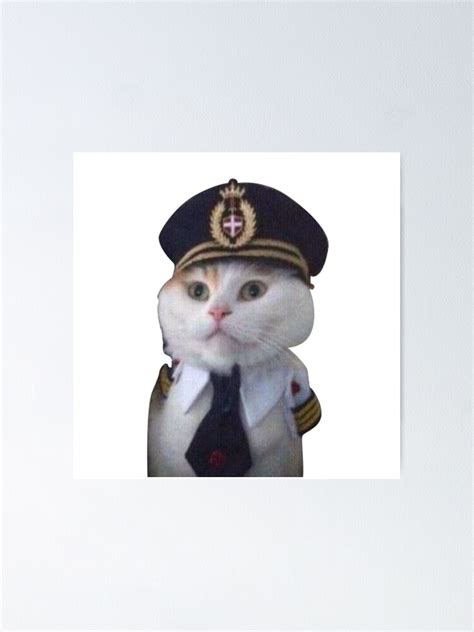 Funny Aviation Cat Pilot Meme Poster For Sale By Avionbubble Redbubble