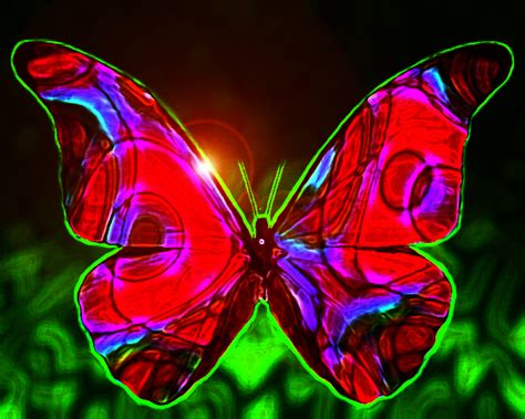 50 Beautiful Butterfly Wallpapers For Desktop Wallpapersafari