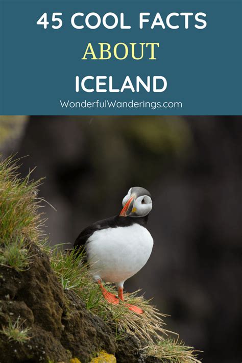 45 Interesting Facts About Iceland That Will Blow Your Mind