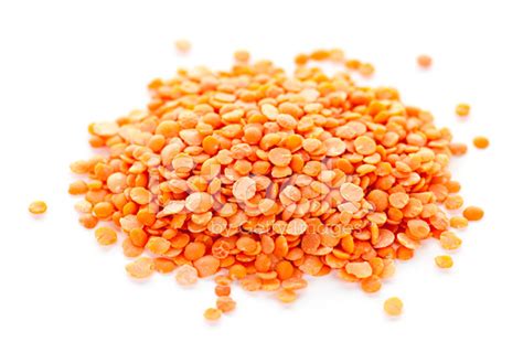 Pile Of Uncooked Red Lentils Stock Photo Royalty Free Freeimages