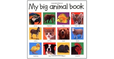 My Big Animal Book By Roger Priddy
