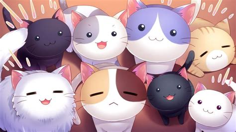 Gatos Kawaiis Para Youtube ｡ﾟﾟ´ω`ﾟﾟ｡ Cute Anime Cat Kawaii
