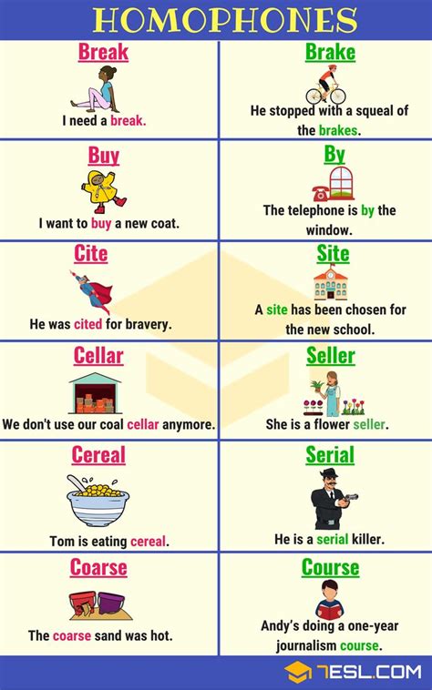 Homonym List Of 300 Homonyms In English With Examples With Images