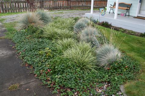 A rain garden is based on a planter, it will normally be most convenient to place it below the downpipe and close to the receiving drain. How to Build a Rain Garden | DIY Network Blog: Made ...