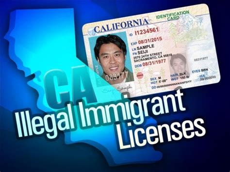 California Issues Half A Million Drivers Licenses To Illegal Immigrants