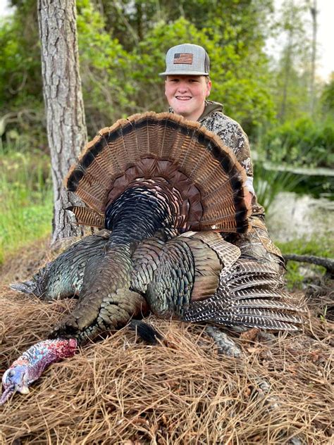 Florida Osceola Turkey Hunts Black Tine Outfitters Llc