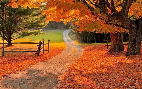Fall Country Background