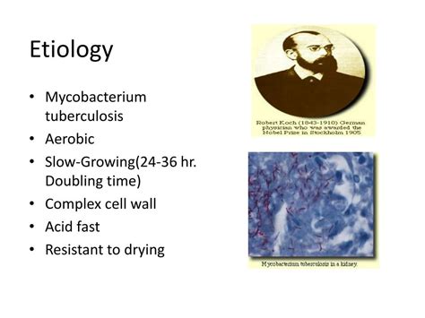 Ppt Tuberculosis Powerpoint Presentation Free Download Id1452995