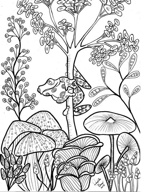 Pin By Angela Sanders On Animais Frog Coloring Pages Coloring Pages