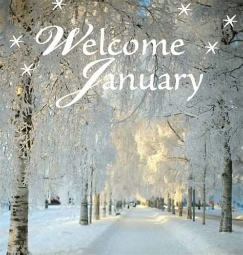 Welcome January Hello January January Wallpaper January Images