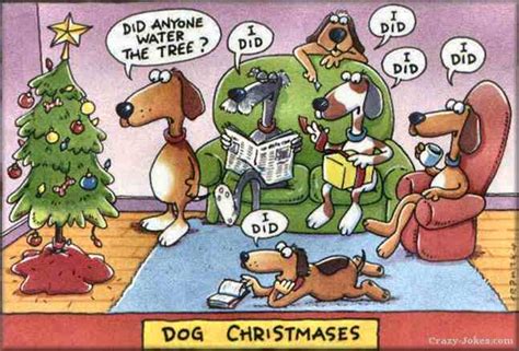 Also dogs clipart xmas available at png transparent variant. A View from the Edge: Naughty Christmas Jokes - Part Two