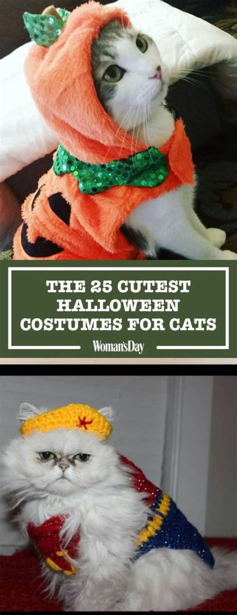 These Cat Halloween Costumes Are So Cute Cat Halloween Costume Cat