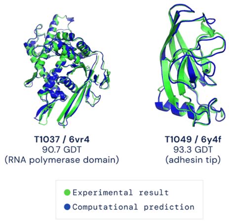 Deepmind Alpha Fold Solves The Mystery Of Protein Folding Postzzal