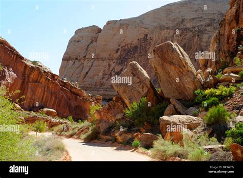 Capitol Gorge Area Capitol Reef National Park Utah Stock Photo Alamy