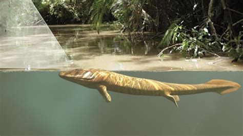Vision Not Limbs Led Fish Onto Land 385 Million Years Ago