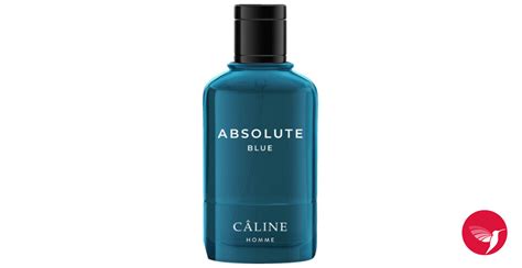 Absolute Blue Câline Cologne A Fragrance For Men 2021