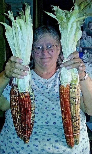 Large Indian Corn Seeds