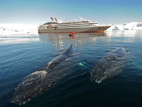 Antarctica South Georgia And Falklands Luxury Cruise Responsible Travel