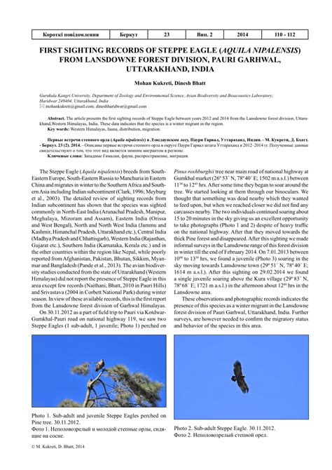 Pdf First Sighting Records Of Steppe Eagle Aquila Nipalensis From