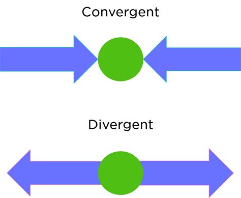 Convergent Evolution — Definition And Examples Expii