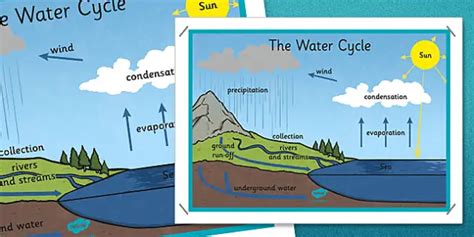 The Water Cycle Display 4 Stages Of The Water Cycle