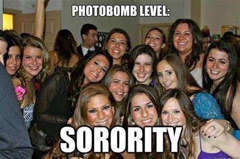 25 funny sorority girl photos you have to sorority girl sorority girl photos