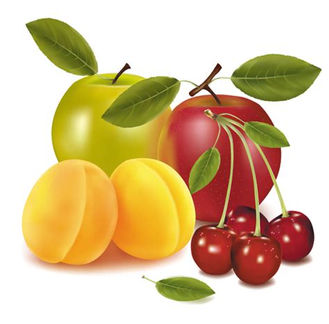Shiny Fruits Creative Vector Graphics 01 Free Download
