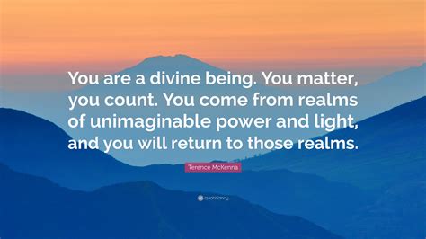 Terence Mckenna Quote You Are A Divine Being You Matter You Count