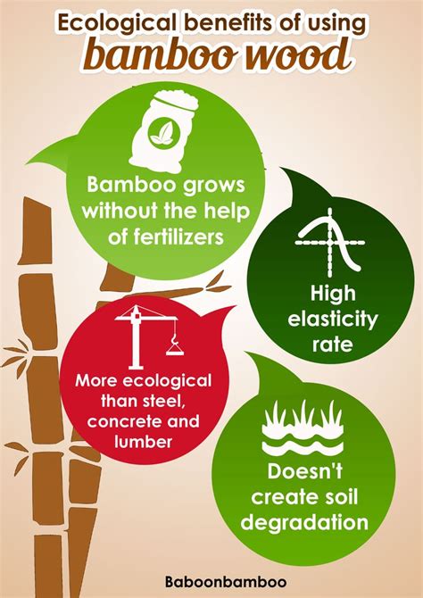 The Ecological Benefits Of Bamboo Moso Timber Bamboo Is More