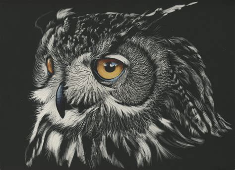 836627 4k 5k Owls Painting Art Closeup Head Rare Gallery Hd