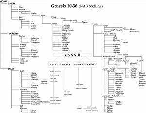 Genesis Family Tree Google Search Bible Family Tree Chronological