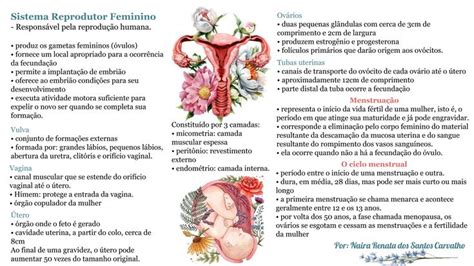 Mapa Mental Resumo Estudo Sistema Reprodutor Feminino Estudos